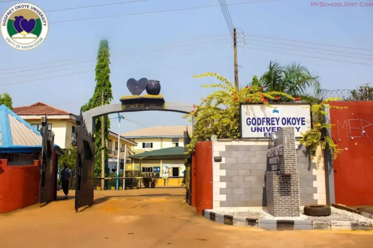 Godfrey Okoye University (GOUNI) Job Recruitment