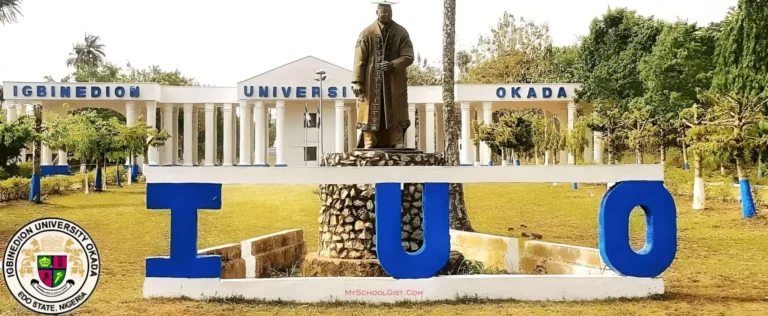 Igbinedion University, Okada (IUO) Convocation Ceremony 2024 Event Guide