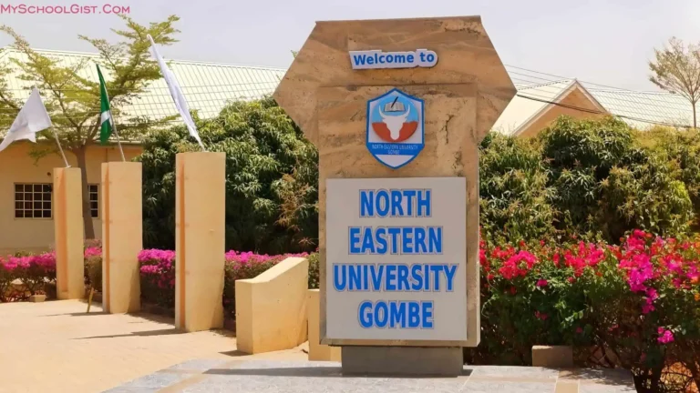 North-Eastern University (NEU) Post UTME Form Stream II