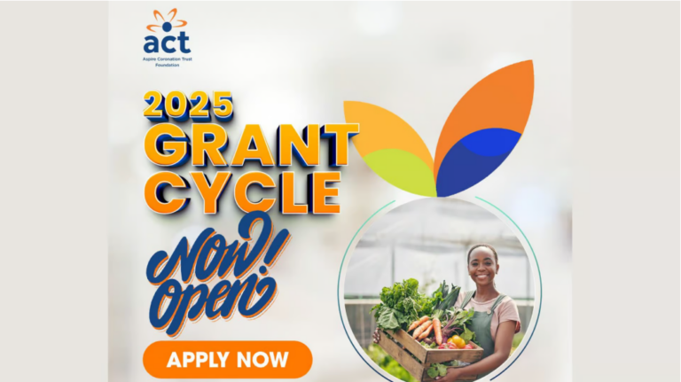 ACT Foundation Grant Apply Now for Funding in Key Sectors