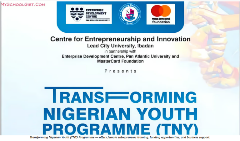 Transforming Nigerian Youth (TNY) Programme – Empowering Female Entrepreneurs in Nigeria